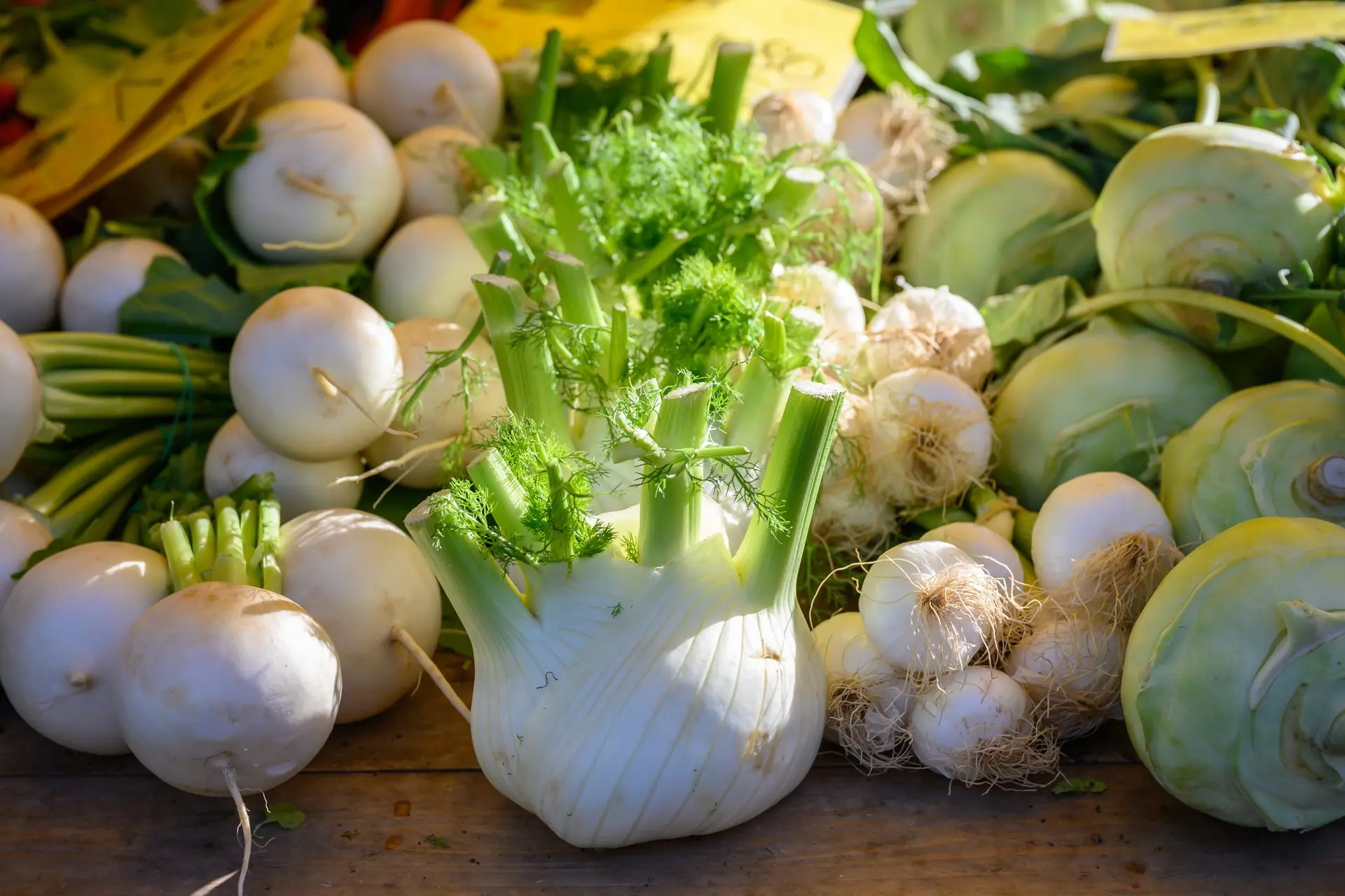 Mairübchen, Fenchel, Zwiebel und Kohlrabi