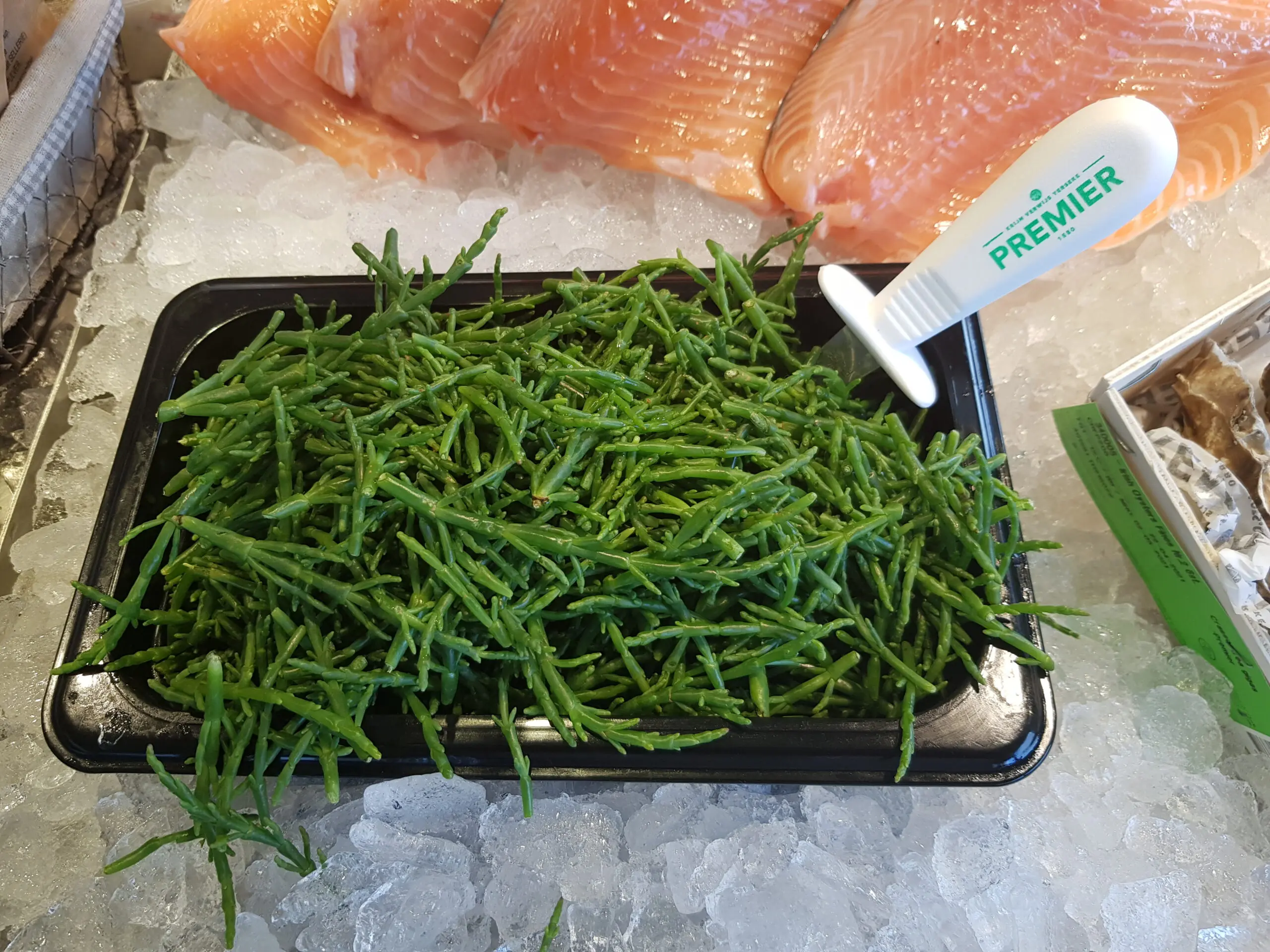 Queller oder auch Meeresspargel in einem schwarzen Behältnis in der Kühlung eines Fischwagens.