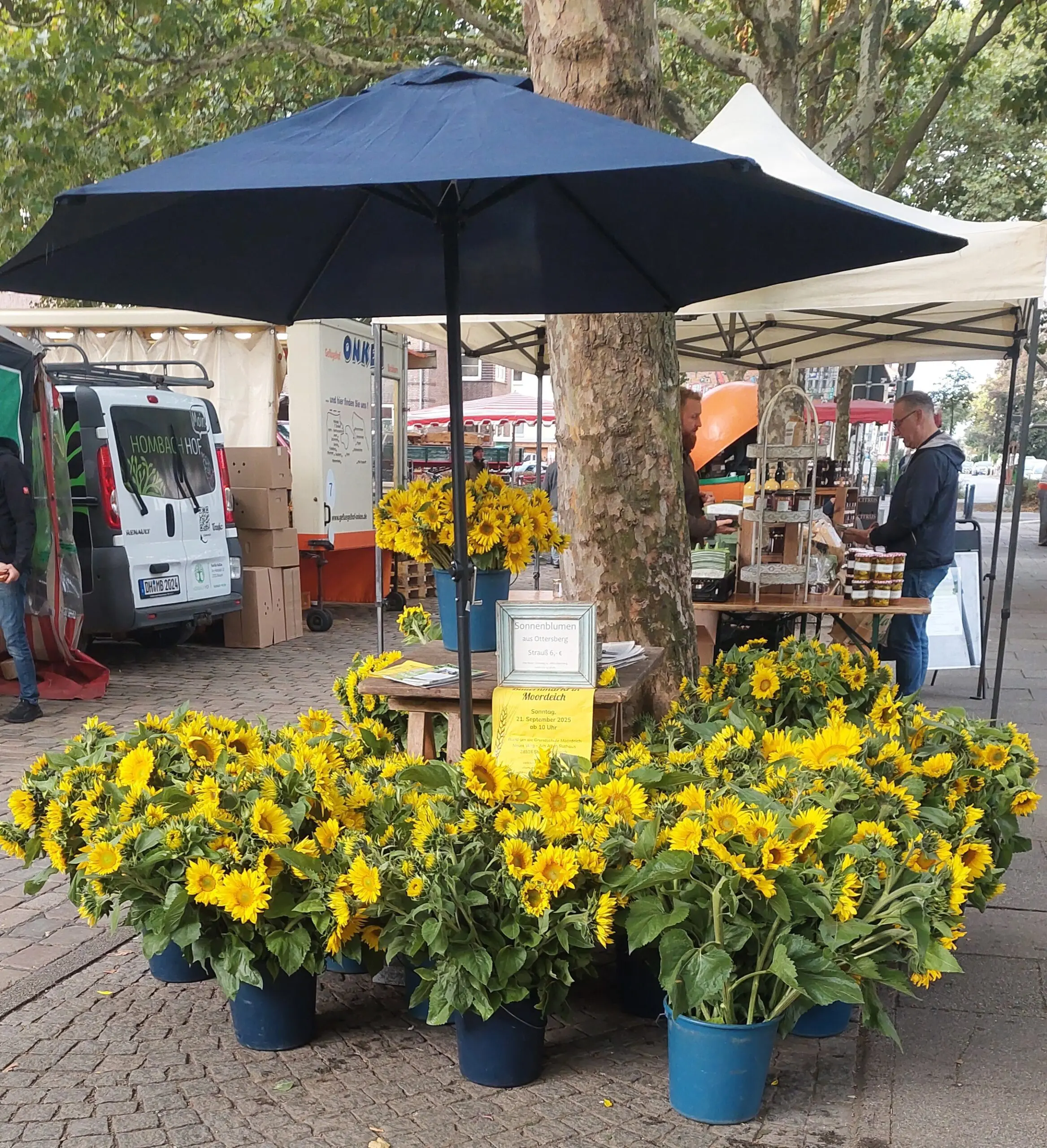 Ein Sonnenblumenverkaufsstand auf einem Wochenmarkt
