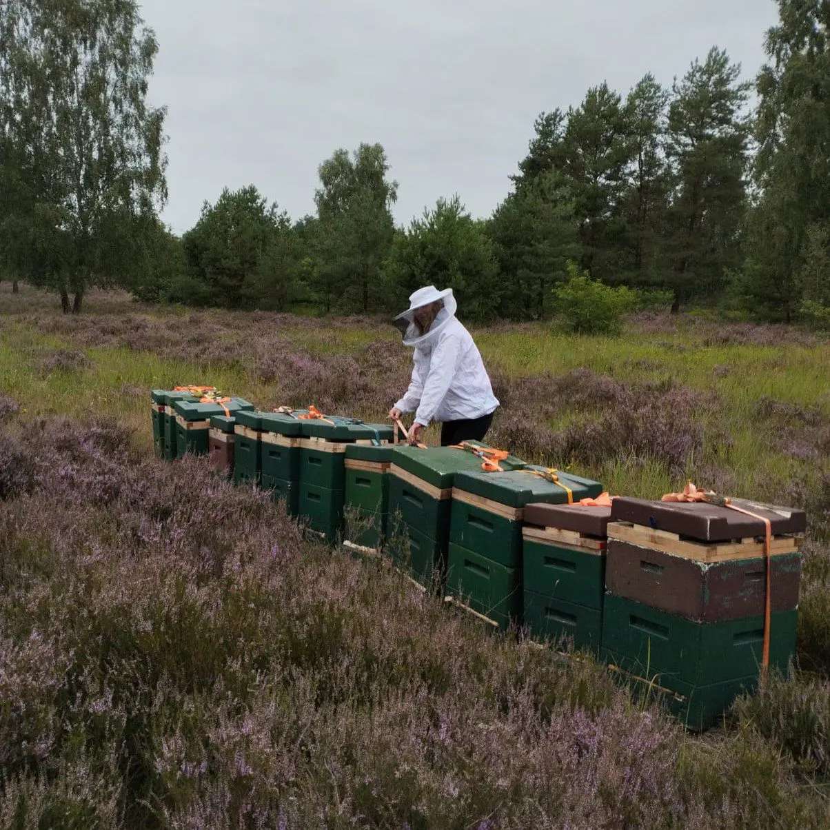 Imker Andrij Wornart