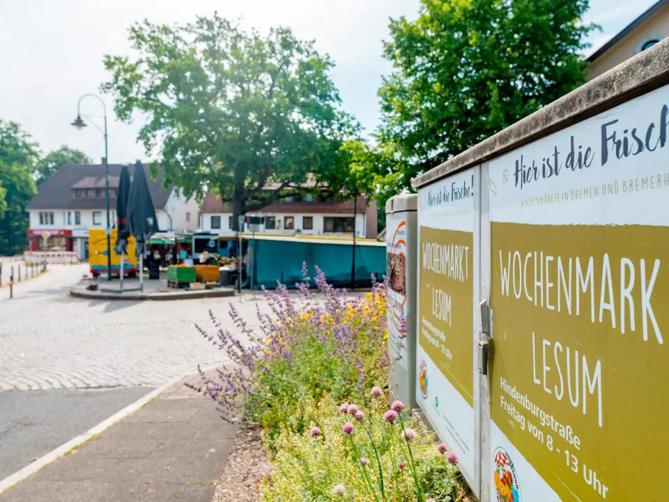 Ein Schild für den Wochenmarkt Lesum steht neben einem Bürgersteig mit lilafarbenen Blumen, während im Hintergrund an einem sonnigen Tag Marktstände und Sonnenschirme auf einem kopfsteingepflasterten Platz aufgebaut sind.