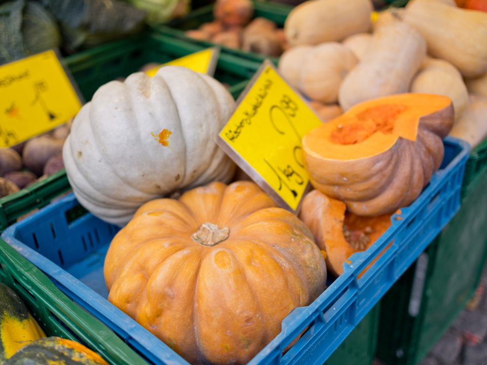 Kürbisse auf dem Wochenmarkt