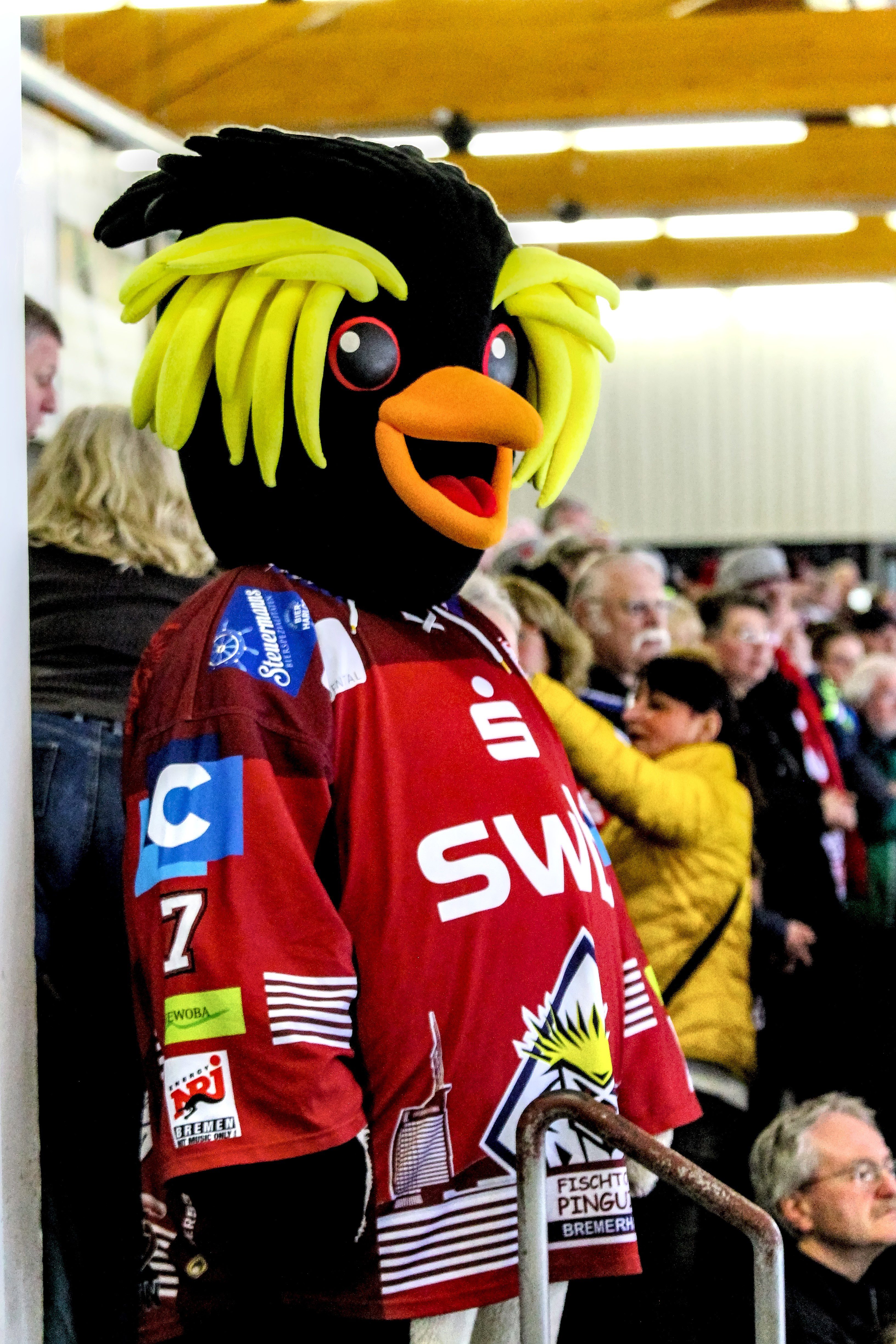 Kralli, Maskottchen der Fischtown Pinguins.