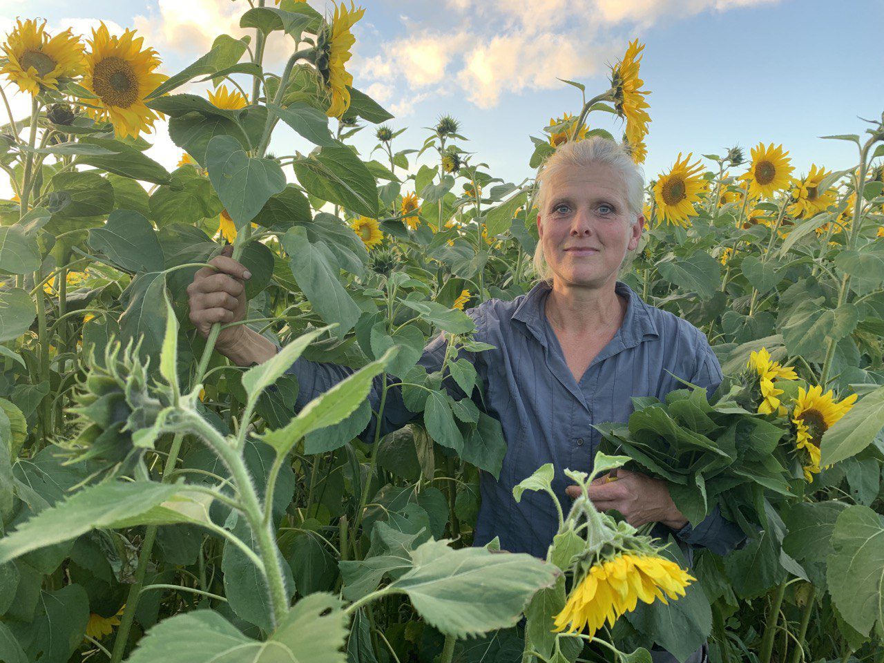 Eine Person Ines Meyer steht in einem Sonnenblumenfeld, hält in der einen Hand Sonnenblumen und umklammert mit der anderen einen Sonnenblumenstiel. Der Himmel ist blau und bewölkt, und die Person ist von Sonnenblumen umgeben.