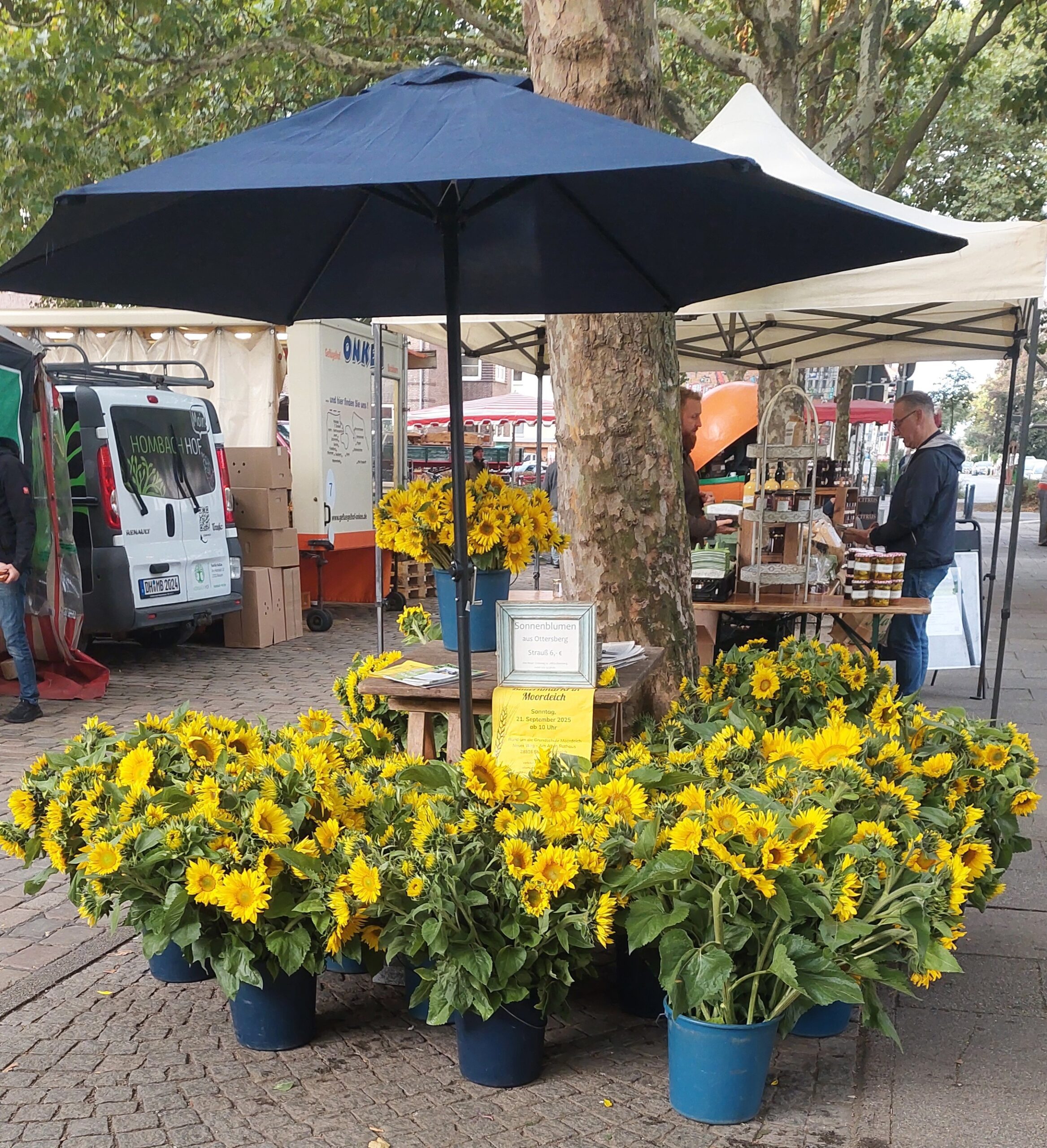 Ein Sonnenblumenverkaufsstand auf einem Wochenmarkt